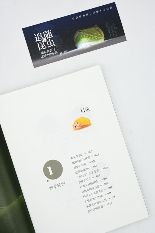 追随昆虫2：暗夜舞台与迷雾中的推理(自然感悟) 商品图4