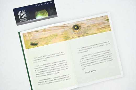 追随昆虫1+2(自然感悟) 商品图5