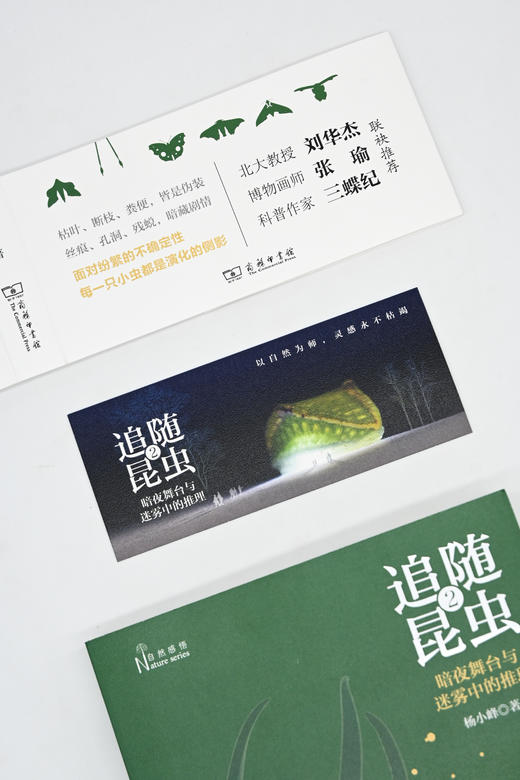 追随昆虫1+2(自然感悟) 商品图11