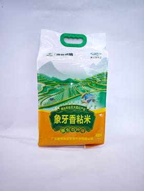 清远供销象牙香粘米5.0KG/袋