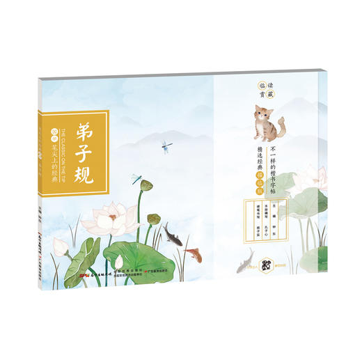 笔尖上的经典 杨子实硬笔范字书法字帖 商品图1