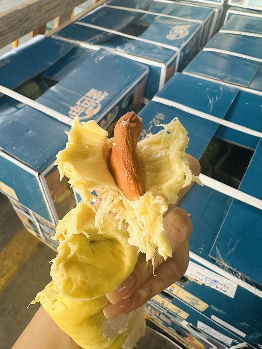 【树上熟榴莲】泰国空运 树熟 高品质金枕榴莲，不抹药催熟，自然成熟，最原味的树熟味道，香味更足！ 商品图4