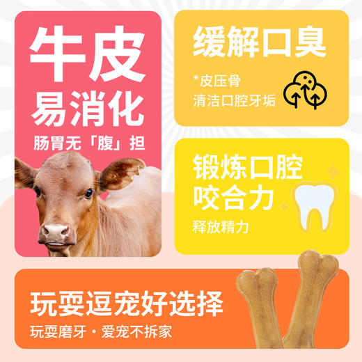 冒险与它皮压骨 狗狗磨牙零食 真牛皮骨头补钙易消化 多尺寸磨牙棒批发 商品图2