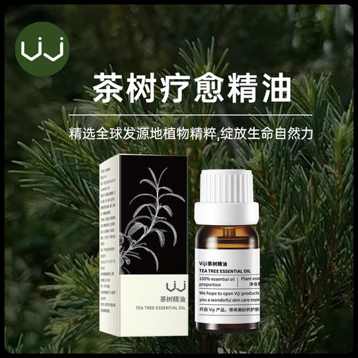 Rasi单方茶树精油 商品图1