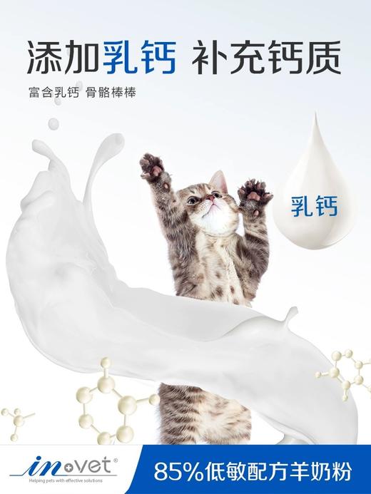 麦德氏IN-VET宠物低敏配方羊奶粉300g 商品图4
