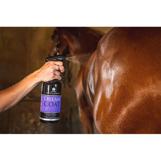 Dream Coat 马匹皮肤高光喷雾 防滑配方 鬃毛尾巴均可用CDM 商品图3
