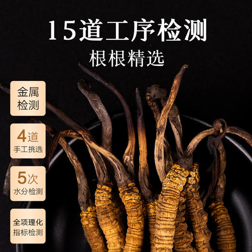【正宗同仁堂品牌】北京同仁堂 冬虫夏草 西藏虫草-30/25g礼盒装 西藏虫草礼盒 可磨粉泡酒 滋补品SY 商品图2