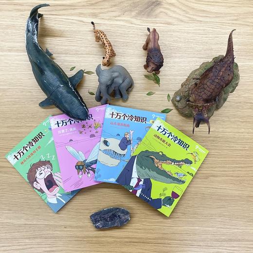 【9-12岁】十万个冷知识（共四册） 商品图3