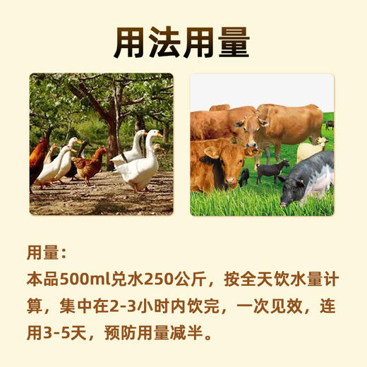 【双黄连口服液】500ml/瓶 猪牛羊鸡鸭鹅畜禽通用 商品图3