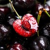 夏树 车厘子 商品缩略图8