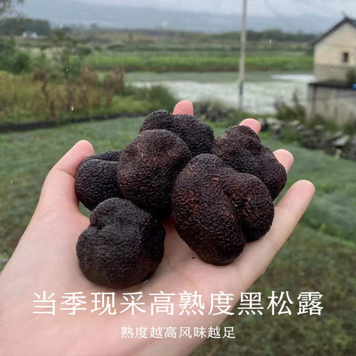 南食召 黑松露酱 商品图2