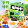 「“撒野”计划！多口味搭配」阿婆家的野营计划露营零食大礼包礼盒 春游的用品网红零食休闲 商品缩略图0