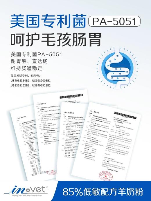 麦德氏IN-VET宠物低敏配方羊奶粉300g 商品图3