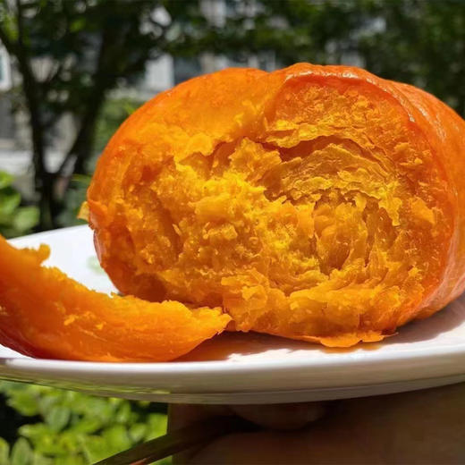【红魔贝贝南瓜】个头小巧玲珑、口感粉糯香甜、肉质细腻，蒸烤皆宜 商品图0