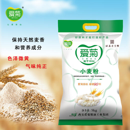 爱菊小麦粉5kg 商品图4