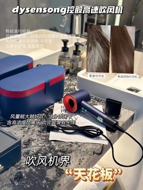 d*s控股 高速吹风机负离子养发吹风机