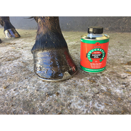 CDM茶树半透明蹄油 500mlCDM 商品图3