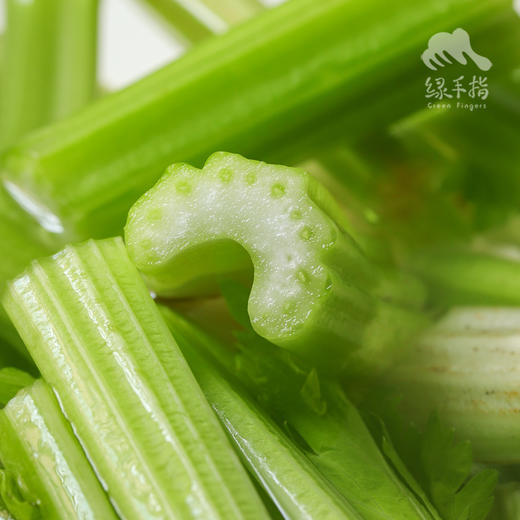 生态大理西芹（中通）| 合作生产 * Eco-celery | Coproduction 商品图4