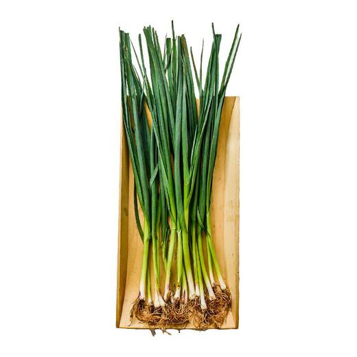 香蒜苗 约200g/份 商品图1