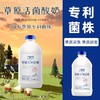 【单瓶】兰格格草原活菌酸奶1kg/瓶，保质期15天(含)-30天(含) 商品缩略图2