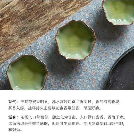 生普 | 叶舞地2023年 冰岛南迫古树纯料 秋茶 357g/饼 商品图3