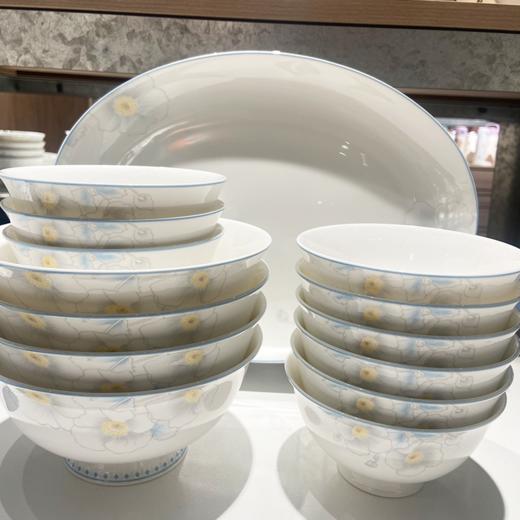 凡瑞斯花样年华48头10人用骨瓷餐具 商品图4