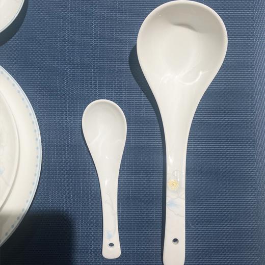 凡瑞斯花样年华48头10人用骨瓷餐具 商品图3