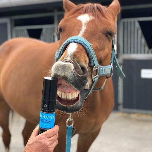 Wound Cream CDM 马匹伤口愈合霜CDM 商品图1