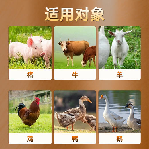 【双黄连口服液】500ml/瓶 猪牛羊鸡鸭鹅畜禽通用 商品图2