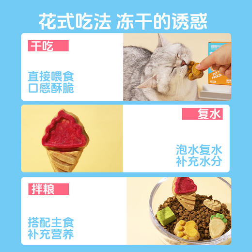 冒险与它 生骨肉冻干零食盒装 解馋磨牙 造型可爱 犬猫零食批发 商品图6