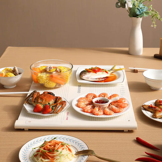 韩国大宇 暖菜板DY-NCB30 商品图4