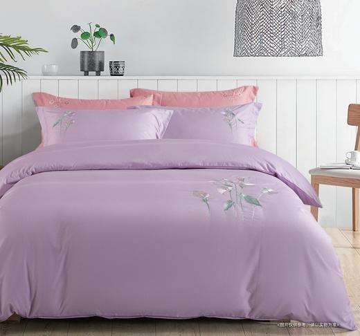 空气棉印花床单四件套 商品图1