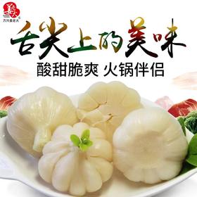 山东姜老大糖醋蒜