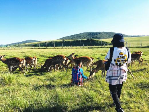 乌兰布统6天亲子游学营（2025夏令营） 商品图2