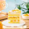 椰岛·巴伐露芒果西米生日蛋糕 | FALANC CAKE 商品缩略图3