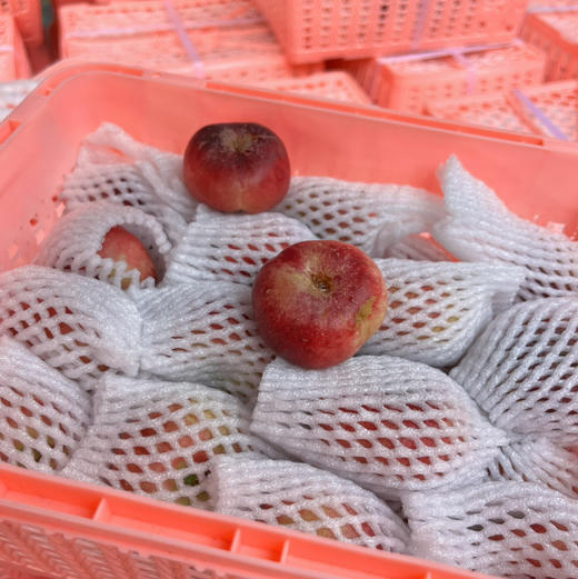 【纽扣蟠桃】新疆纽扣蟠桃，个头不大，桃味香浓，甜度高，好吃的一款当季水果！ 商品图1