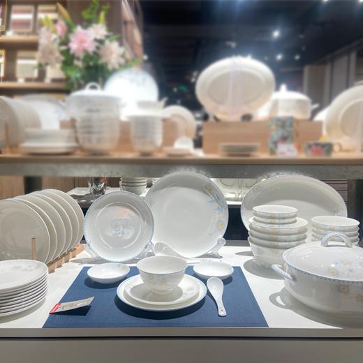 凡瑞斯花样年华48头10人用骨瓷餐具 商品图1