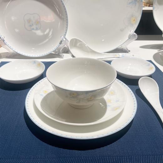 凡瑞斯花样年华48头10人用骨瓷餐具 商品图5