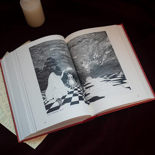 爱丽丝漫游奇境与镜中奇遇 诺顿注释本（美国科普大师耗时55年编注 卡罗尔研究史上的里程碑之作） 商品图8