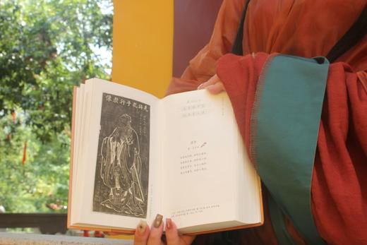 《诗画中国》  首首诗情画意，一眼沉醉，惊艳了千年的时光 商品图3