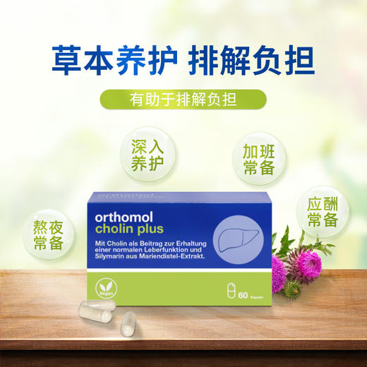 【品牌直供】德国奥适宝护肝片 60粒 商品图9