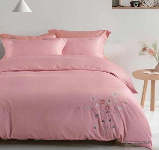 空气棉印花床单四件套 商品图2