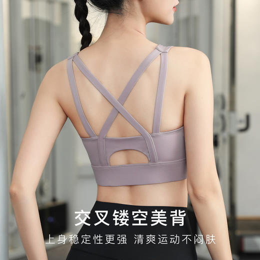 前拉链美背聚拢缓震防下垂运动内衣女跑步健身瑜伽文胸春夏款拉链运动文胸 商品图1