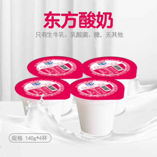东方多鲜庄园 东方酸奶140g*12杯装 全脂风味发酵原味老酸奶 商品图0