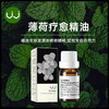 【云露专属】 Rasi单方薄荷精油 商品缩略图1