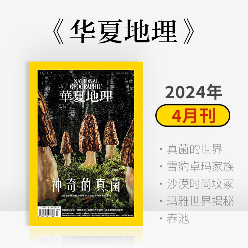 《华夏地理》杂志2024年4月刊- 神奇的真菌 雪豹卓玛家族 沙漠里的时尚坟冢 玛雅世界大揭秘 春池