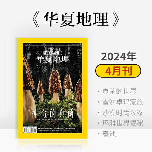 《华夏地理》杂志2024年4月刊- 神奇的真菌 雪豹卓玛家族 沙漠里的时尚坟冢 玛雅世界大揭秘 春池 商品图0