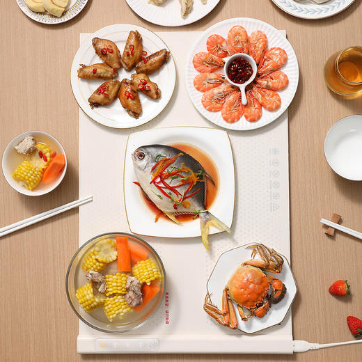 韩国大宇 暖菜板DY-NCB30 商品图1