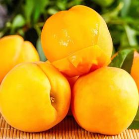 【高品质给不将就的您~】黄桃黄金蜜桃 新鲜水果 脆甜桃子 毛桃桃子 脆甜桃 当季鲜果-QQ