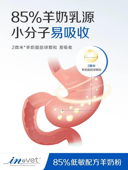 麦德氏IN-VET宠物低敏配方羊奶粉300g 商品图1
